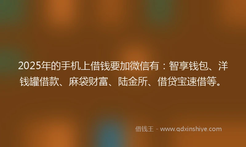 2025年的手机上借钱要加微信有：智享钱包、洋钱罐借款、麻袋财富、陆金所、借贷宝速借等。