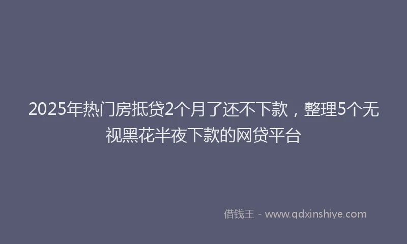 2025年热门房抵贷2个月了还不下款，整理5个无视黑花半夜下款的网贷平台
