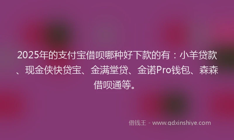 2025年的支付宝借呗哪种好下款的有：小羊贷款、现金侠快贷宝、金满堂贷、金诺Pro钱包、森森借呗通等。