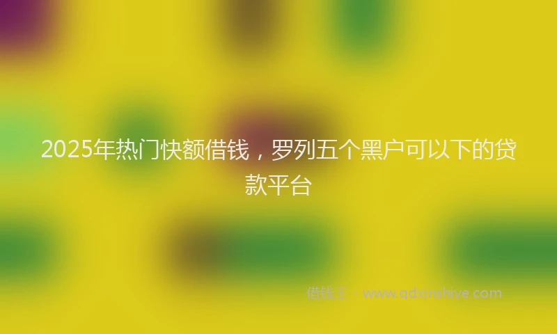 2025年热门快额借钱，罗列五个黑户可以下的贷款平台