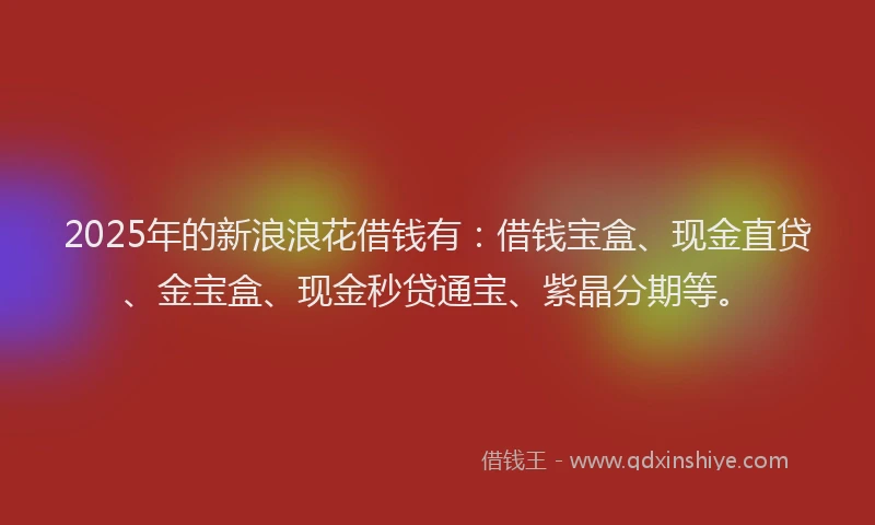 2025年的新浪浪花借钱有：借钱宝盒、现金直贷、金宝盒、现金秒贷通宝、紫晶分期等。