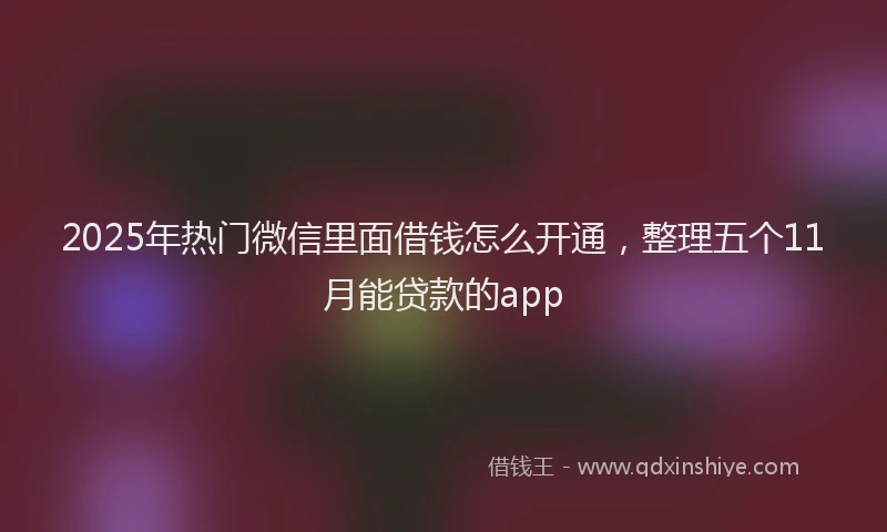 2025年热门微信里面借钱怎么开通，整理五个11月能贷款的app