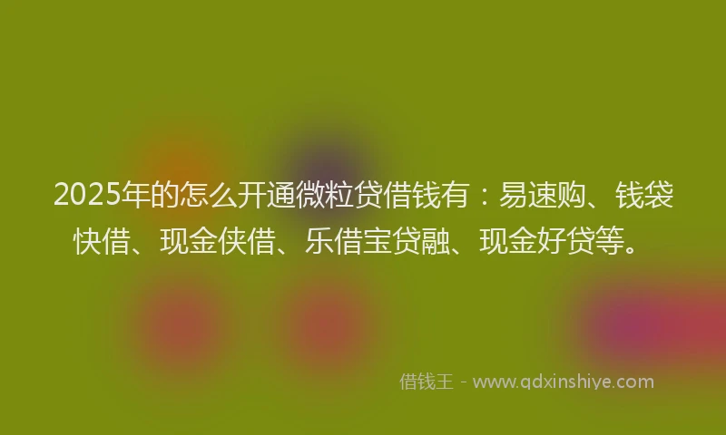 2025年的怎么开通微粒贷借钱有：易速购、钱袋快借、现金侠借、乐借宝贷融、现金好贷等。