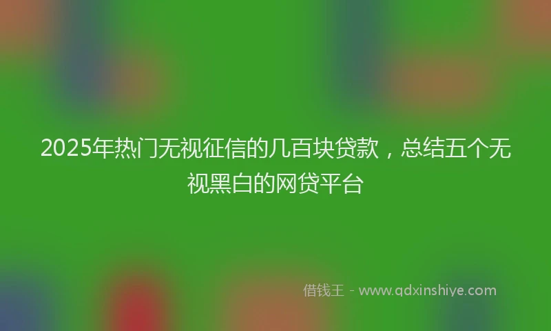 2025年热门无视征信的几百块贷款，总结五个无视黑白的网贷平台