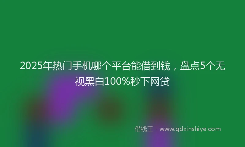 2025年热门手机哪个平台能借到钱，盘点5个无视黑白100%秒下网贷