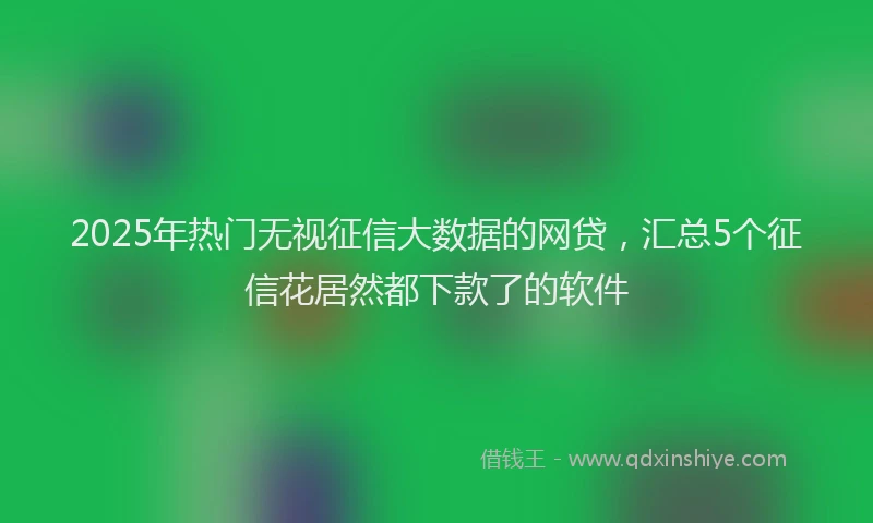 2025年热门无视征信大数据的网贷，汇总5个征信花居然都下款了的软件