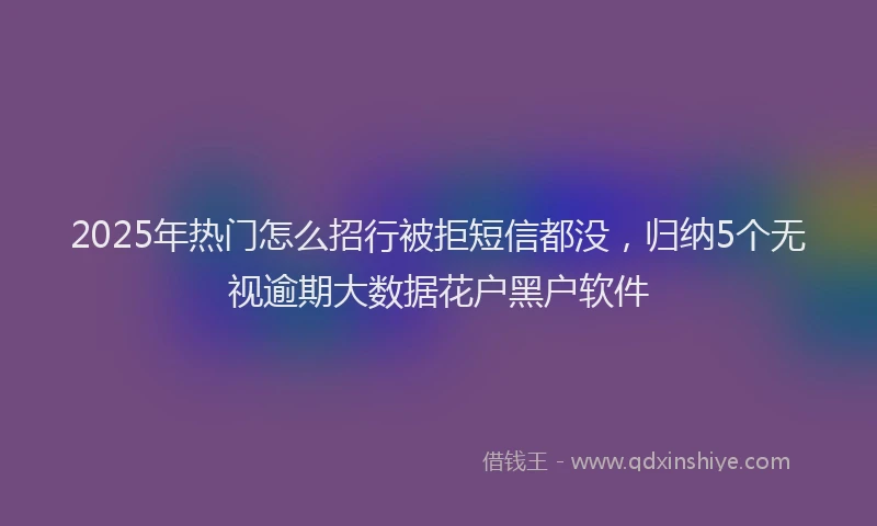 2025年热门怎么招行被拒短信都没，归纳5个无视逾期大数据花户黑户软件