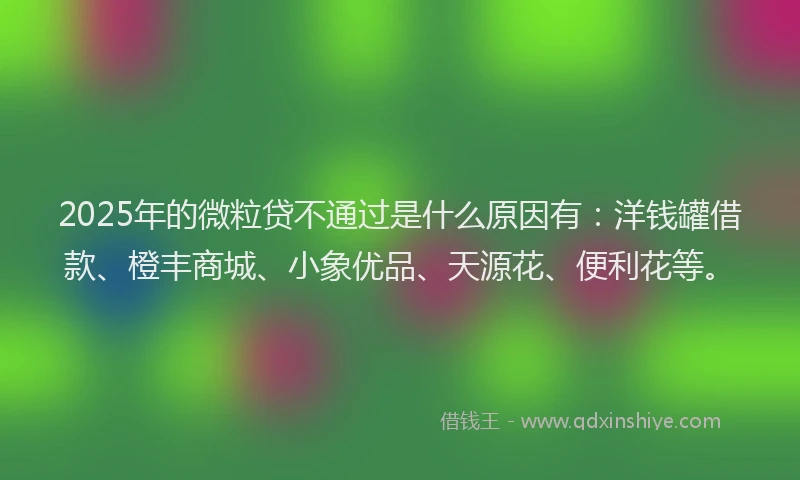 2025年的微粒贷不通过是什么原因有：洋钱罐借款、橙丰商城、小象优品、天源花、便利花等。