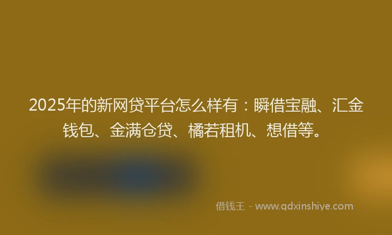 2025年的新网贷平台怎么样有：瞬借宝融、汇金钱包、金满仓贷、橘若租机、想借等。