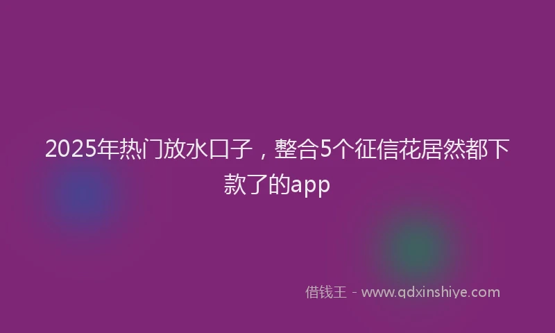 2025年热门放水口子，整合5个征信花居然都下款了的app