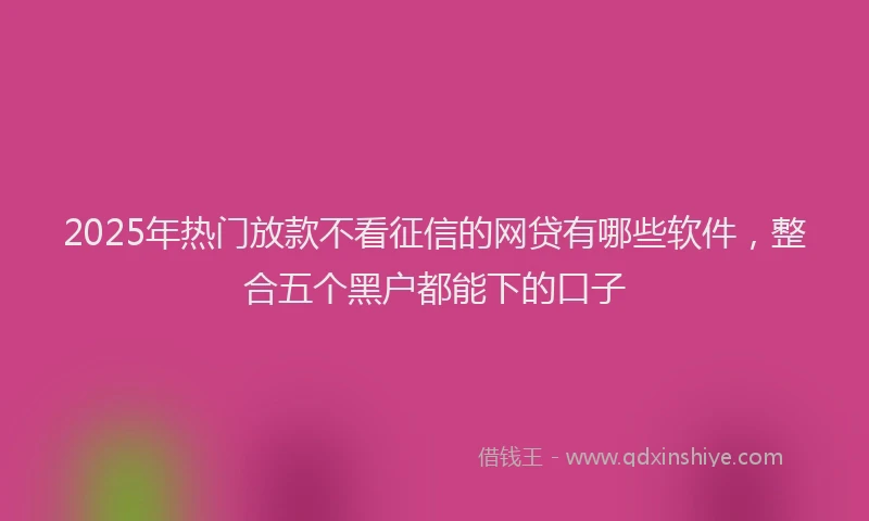 2025年热门放款不看征信的网贷有哪些软件，整合五个黑户都能下的口子