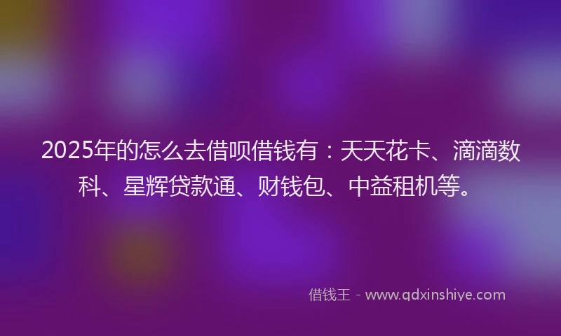 2025年的怎么去借呗借钱有：天天花卡、滴滴数科、星辉贷款通、财钱包、中益租机等。