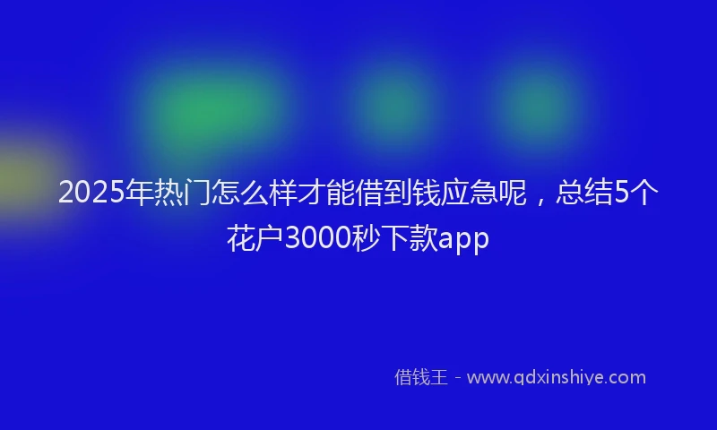 2025年热门怎么样才能借到钱应急呢，总结5个花户3000秒下款app