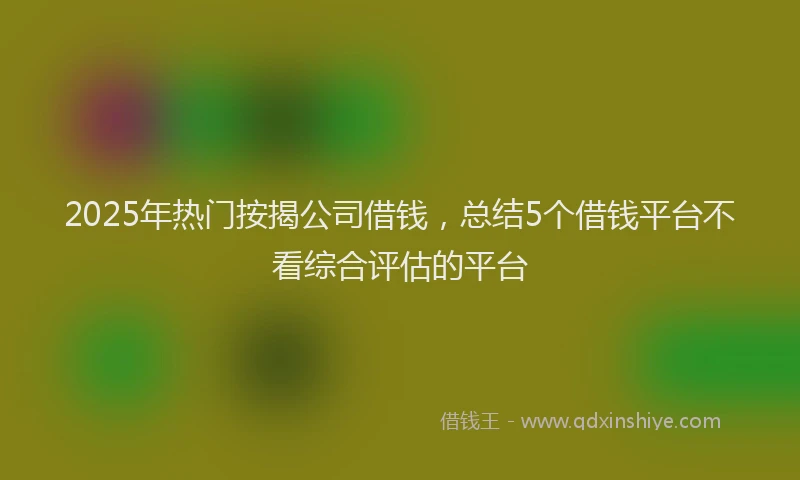 2025年热门按揭公司借钱，总结5个借钱平台不看综合评估的平台