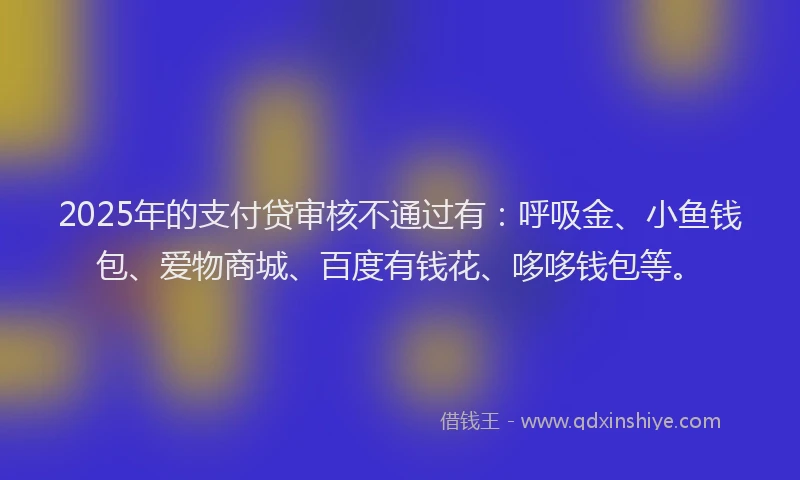 2025年的支付贷审核不通过有：呼吸金、小鱼钱包、爱物商城、百度有钱花、哆哆钱包等。