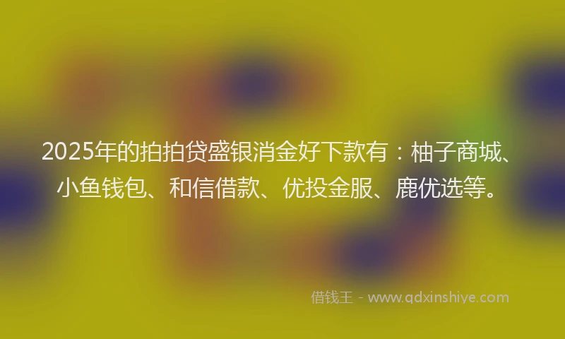 2025年的拍拍贷盛银消金好下款有：柚子商城、小鱼钱包、和信借款、优投金服、鹿优选等。