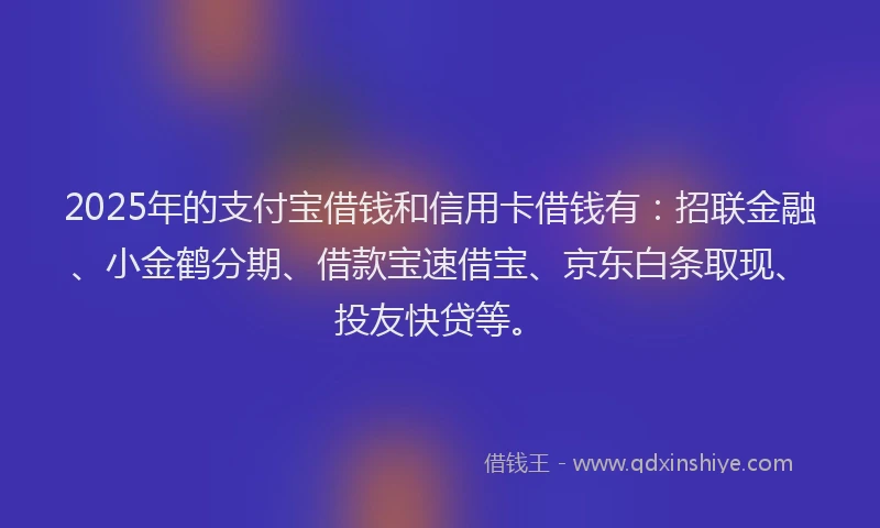 2025年的支付宝借钱和信用卡借钱有：招联金融、小金鹤分期、借款宝速借宝、京东白条取现、投友快贷等。