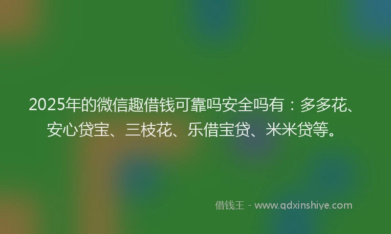 2025年的微信趣借钱可靠吗安全吗有：多多花、安心贷宝、三枝花、乐借宝贷、米米贷等。