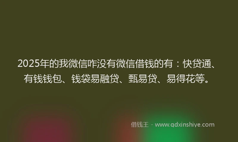 2025年的我微信咋没有微信借钱的有：快贷通、有钱钱包、钱袋易融贷、甄易贷、易得花等。