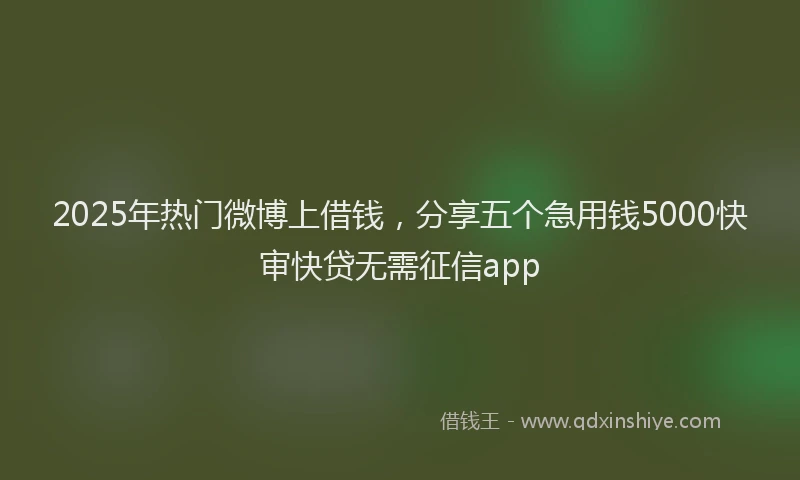 2025年热门微博上借钱，分享五个急用钱5000快审快贷无需征信app