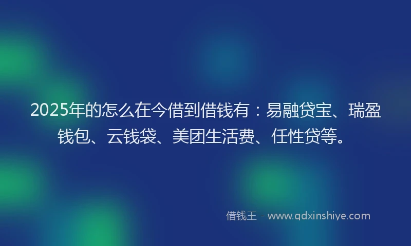 2025年的怎么在今借到借钱有：易融贷宝、瑞盈钱包、云钱袋、美团生活费、任性贷等。