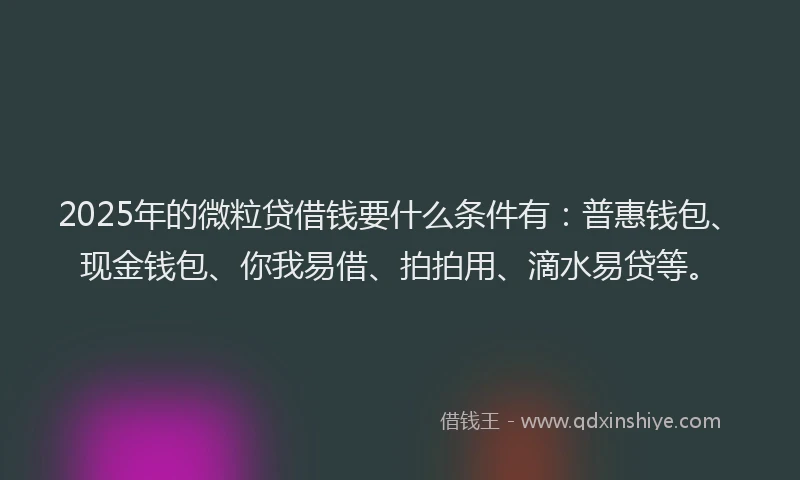 2025年的微粒贷借钱要什么条件有：普惠钱包、现金钱包、你我易借、拍拍用、滴水易贷等。