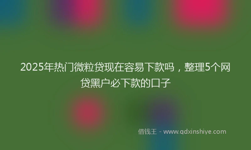 2025年热门微粒贷现在容易下款吗，整理5个网贷黑户必下款的口子
