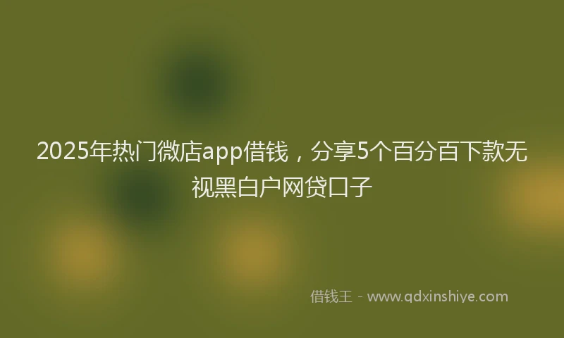 2025年热门微店app借钱，分享5个百分百下款无视黑白户网贷口子