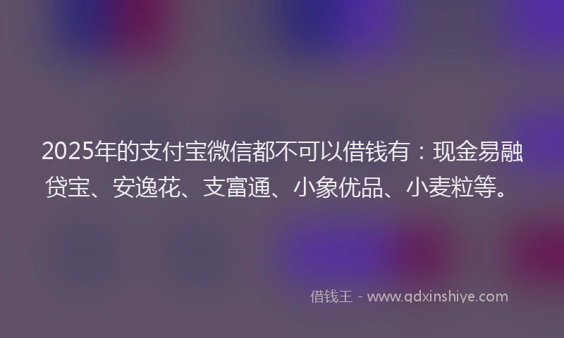 2025年的支付宝微信都不可以借钱有：现金易融贷宝、安逸花、支富通、小象优品、小麦粒等。