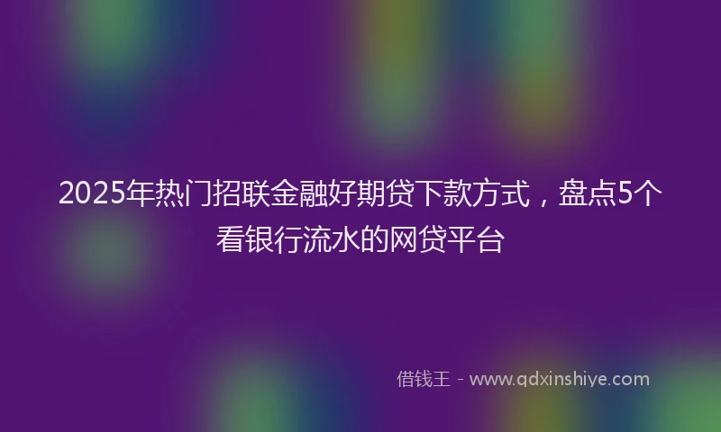 2025年热门招联金融好期贷下款方式，盘点5个看银行流水的网贷平台