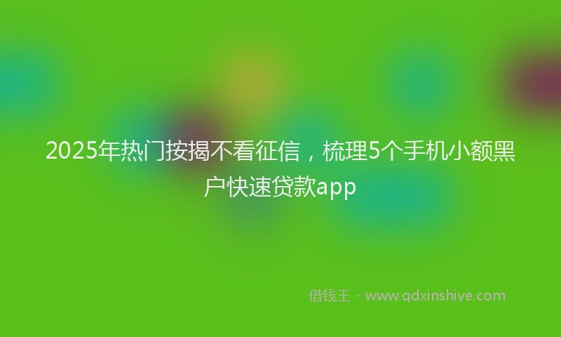 2025年热门按揭不看征信，梳理5个手机小额黑户快速贷款app