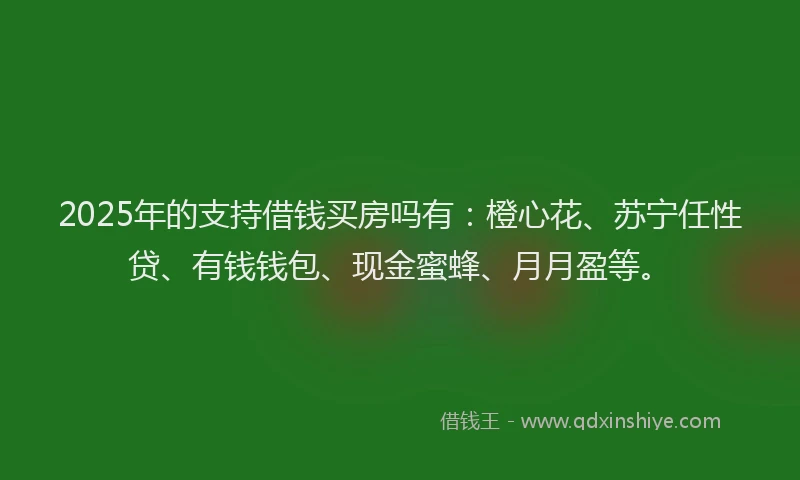 2025年的支持借钱买房吗有：橙心花、苏宁任性贷、有钱钱包、现金蜜蜂、月月盈等。