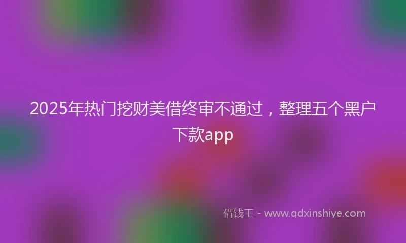 2025年热门挖财美借终审不通过，整理五个黑户下款app