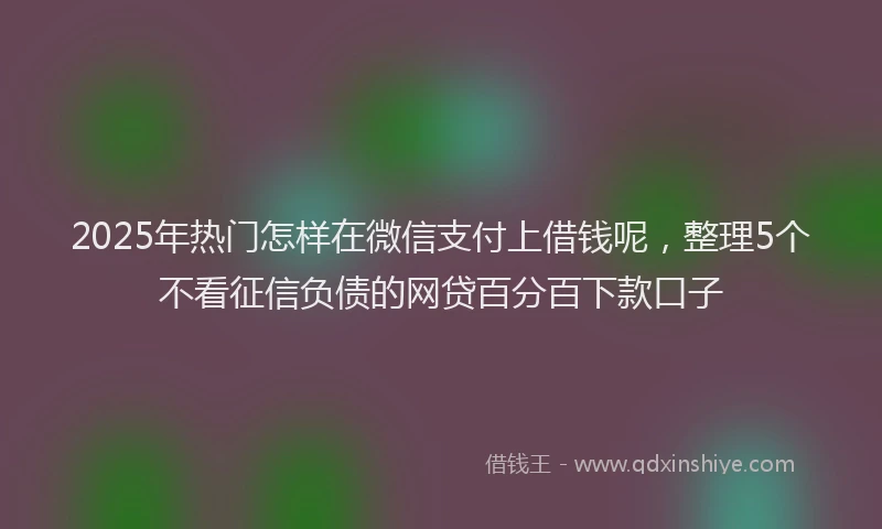 2025年热门怎样在微信支付上借钱呢，整理5个不看征信负债的网贷百分百下款口子