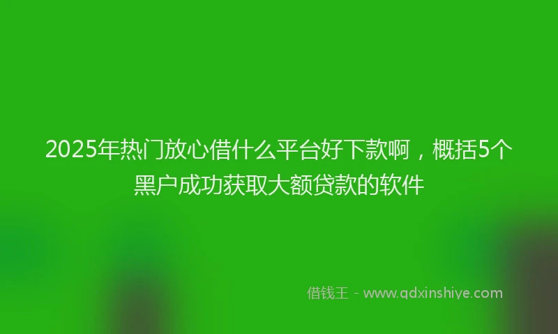 2025年热门放心借什么平台好下款啊，概括5个黑户成功获取大额贷款的软件