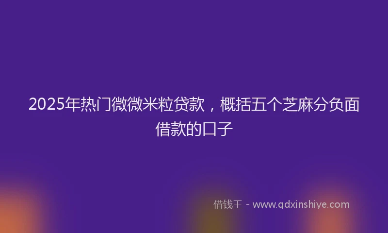 2025年热门微微米粒贷款，概括五个芝麻分负面借款的口子