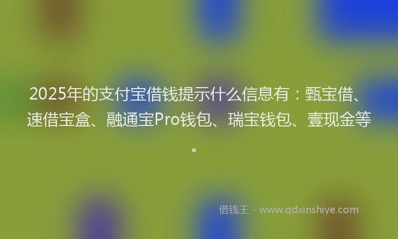 2025年的支付宝借钱提示什么信息有：甄宝借、速借宝盒、融通宝Pro钱包、瑞宝钱包、壹现金等。