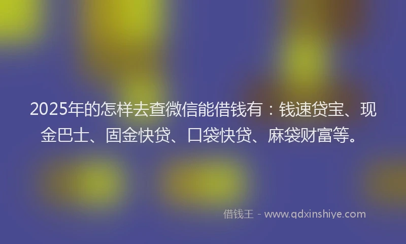 2025年的怎样去查微信能借钱有：钱速贷宝、现金巴士、固金快贷、口袋快贷、麻袋财富等。