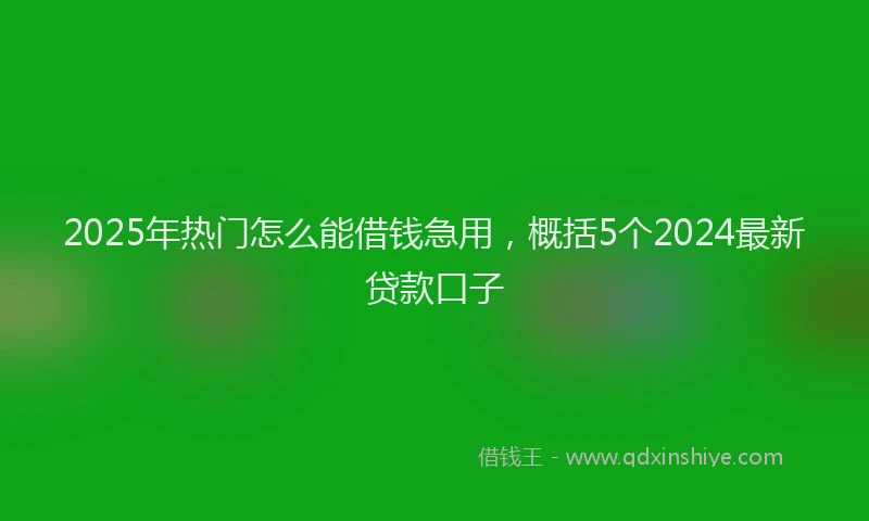 2025年热门怎么能借钱急用，概括5个2024最新贷款口子