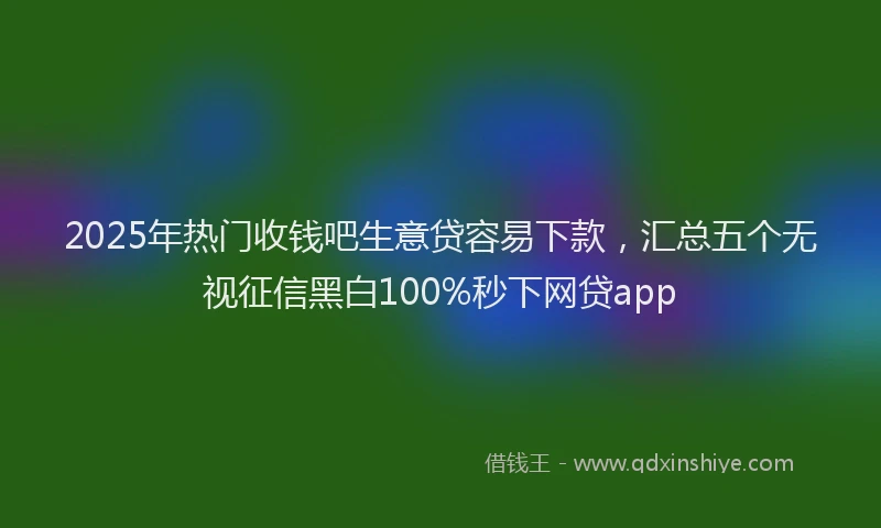 2025年热门收钱吧生意贷容易下款，汇总五个无视征信黑白100%秒下网贷app
