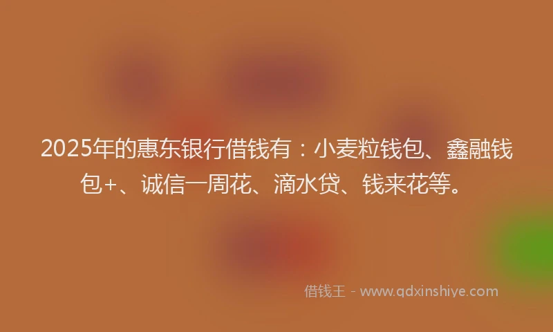 2025年的惠东银行借钱有：小麦粒钱包、鑫融钱包+、诚信一周花、滴水贷、钱来花等。