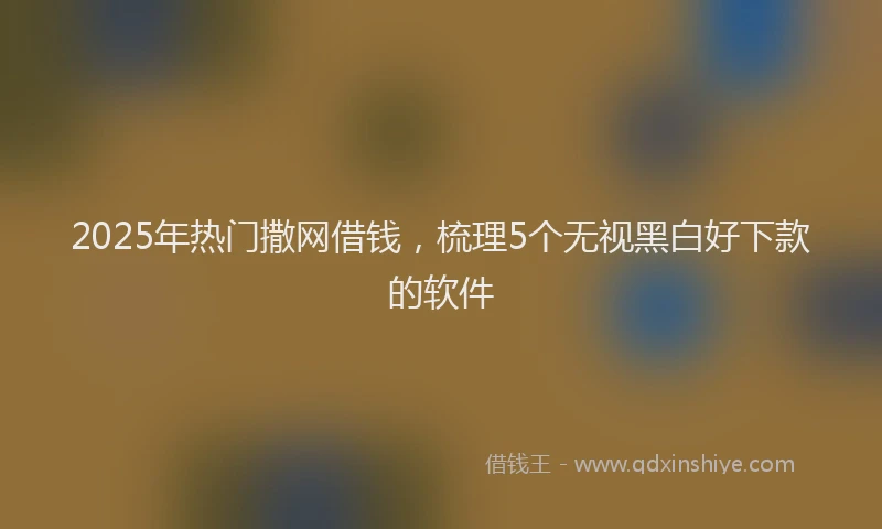 2025年热门撒网借钱，梳理5个无视黑白好下款的软件