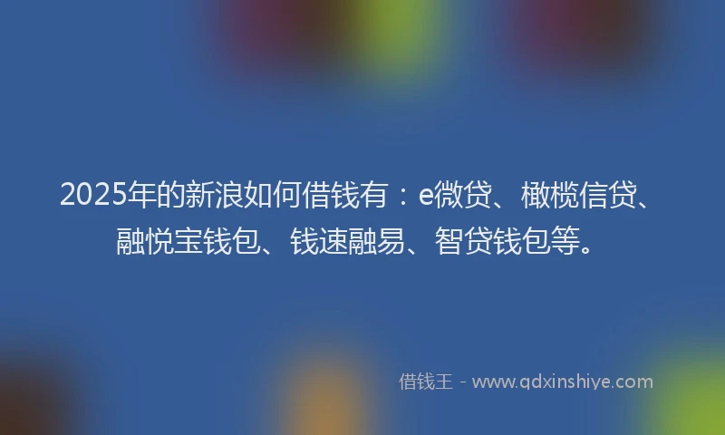 2025年的新浪如何借钱有：e微贷、橄榄信贷、融悦宝钱包、钱速融易、智贷钱包等。