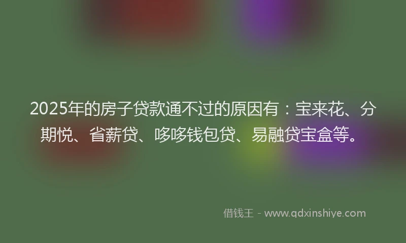 2025年的房子贷款通不过的原因有：宝来花、分期悦、省薪贷、哆哆钱包贷、易融贷宝盒等。