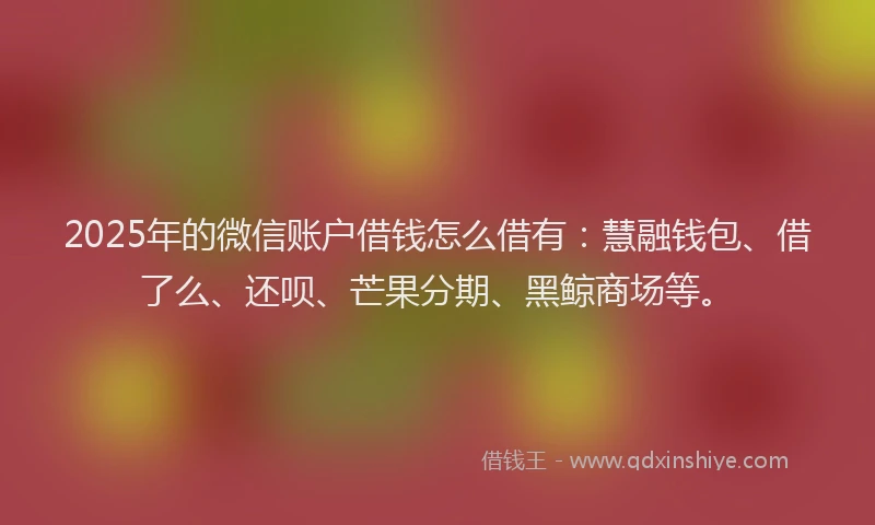 2025年的微信账户借钱怎么借有：慧融钱包、借了么、还呗、芒果分期、黑鲸商场等。