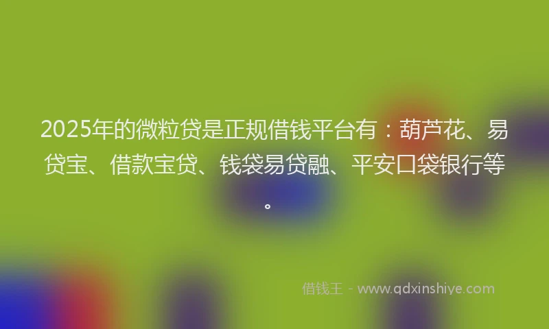 2025年的微粒贷是正规借钱平台有：葫芦花、易贷宝、借款宝贷、钱袋易贷融、平安口袋银行等。