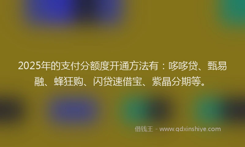 2025年的支付分额度开通方法有：哆哆贷、甄易融、蜂狂购、闪贷速借宝、紫晶分期等。