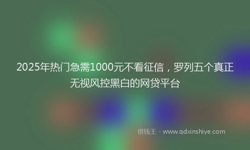 2025年热门急需1000元不看征信，罗列五个真正无视风控黑白的网贷平台