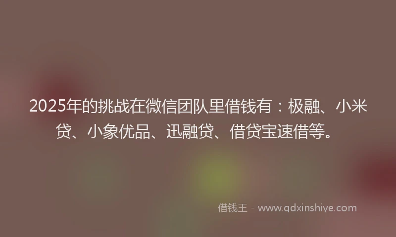 2025年的挑战在微信团队里借钱有：极融、小米贷、小象优品、迅融贷、借贷宝速借等。