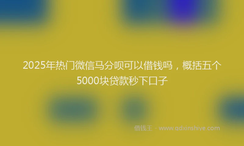 2025年热门微信马分呗可以借钱吗，概括五个5000块贷款秒下口子